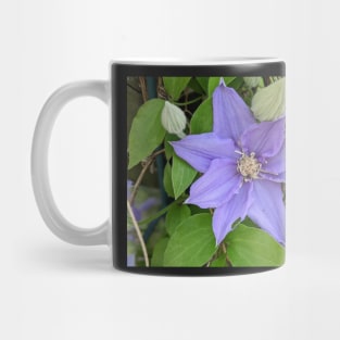 Clematis Fuji-Museme Flowers 3 Mug